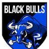 Associacao Black Bulls