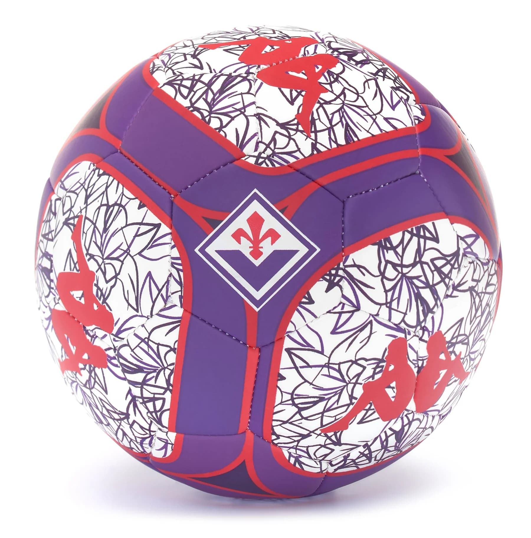 FIORENTINA BALL 2023-24