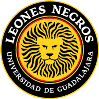 Leones Negros