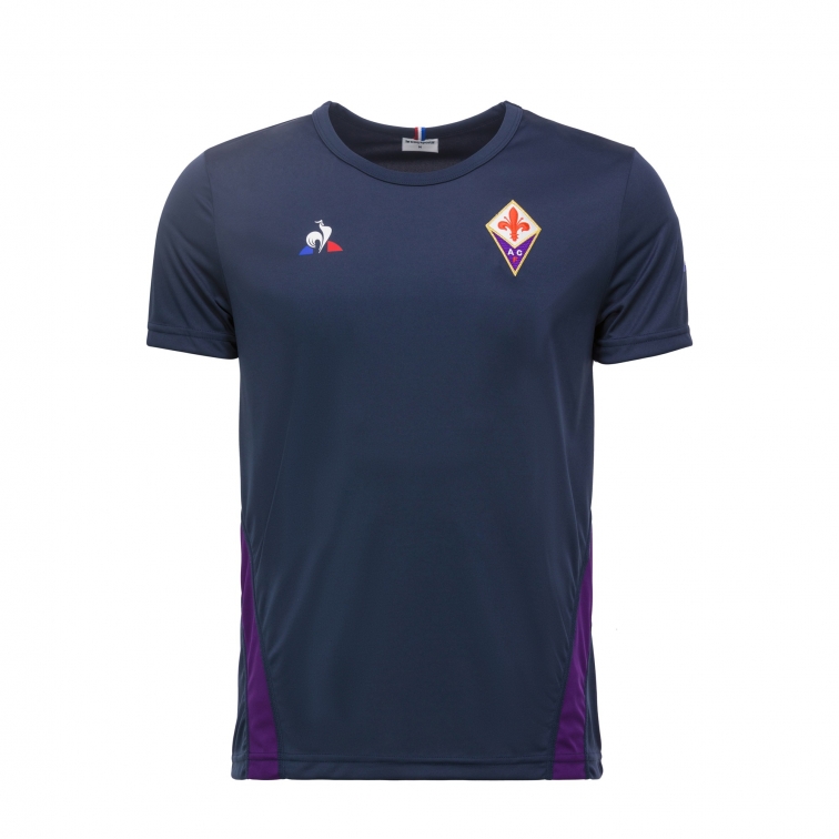 Allenamento Fiorentina ufficiale Allenamento Fiorentina ufficiale