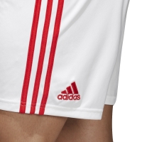 RUSSIA HOME SHORTS 2017-19