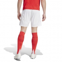 BENFICA HOME SHORTS 2024-25