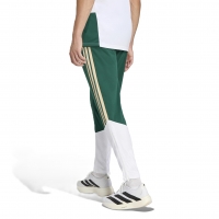 ITALIA FIGC TRAINING GREEN PANTS 2025-27