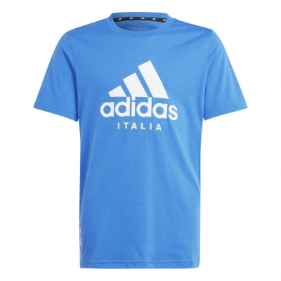 ITALIA FIGC T-SHIRT BAMBINO AZZURRA FAN 2024-25